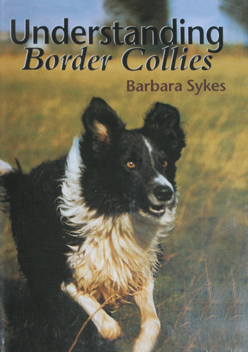 Understanding Border Collies (Including UK p&p)