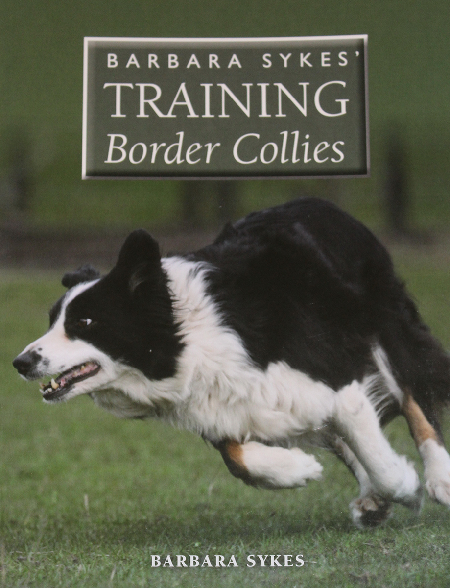 Training Border Collies (Including p&p)