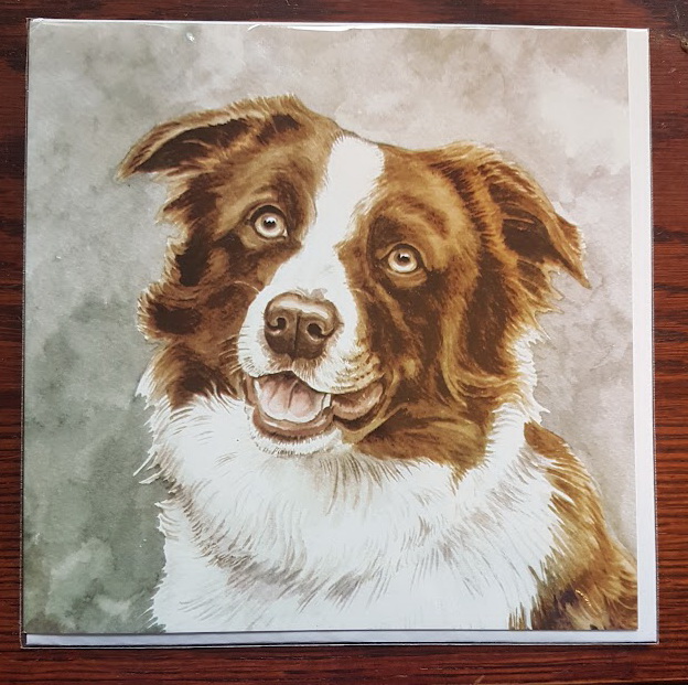 Border Collie card #1- From £2.00 (Including p&p)