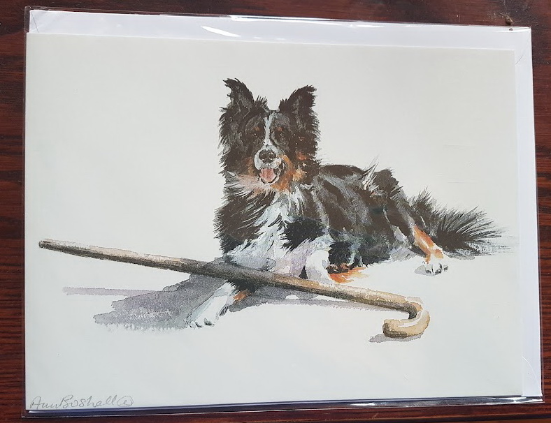 Border Collie card – price includes p&p
