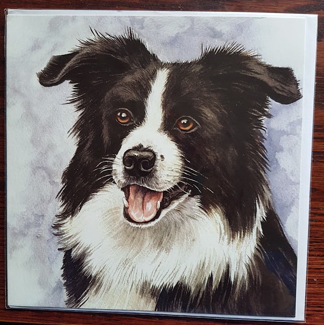 Border Collie card #2 – From £2.00 (Including p&p) (Copy)