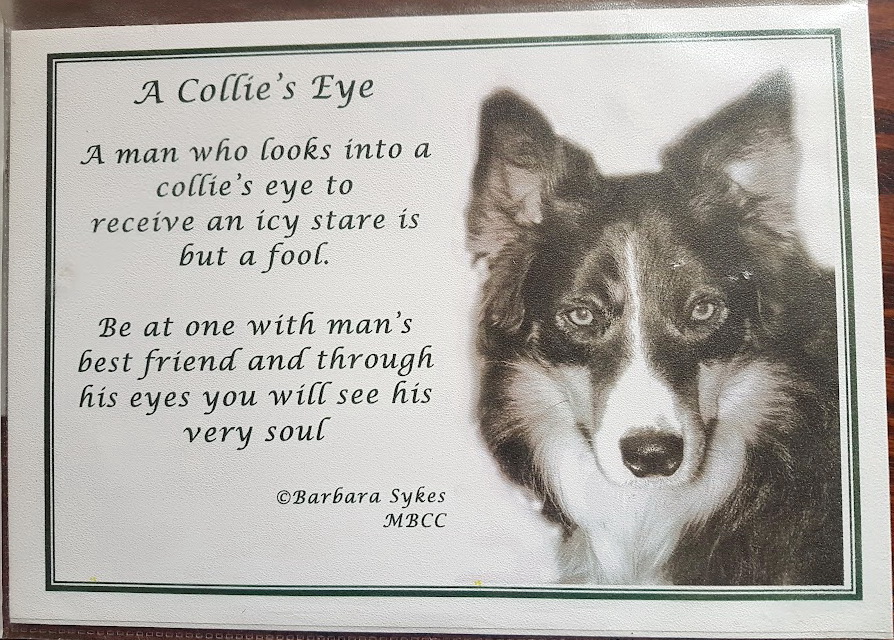 Poem – A Collie’s Eye price includes p&p