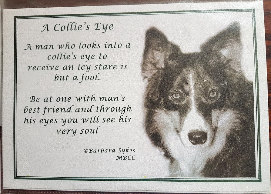 Poem – A Collie’s Eye price includes UK p&p