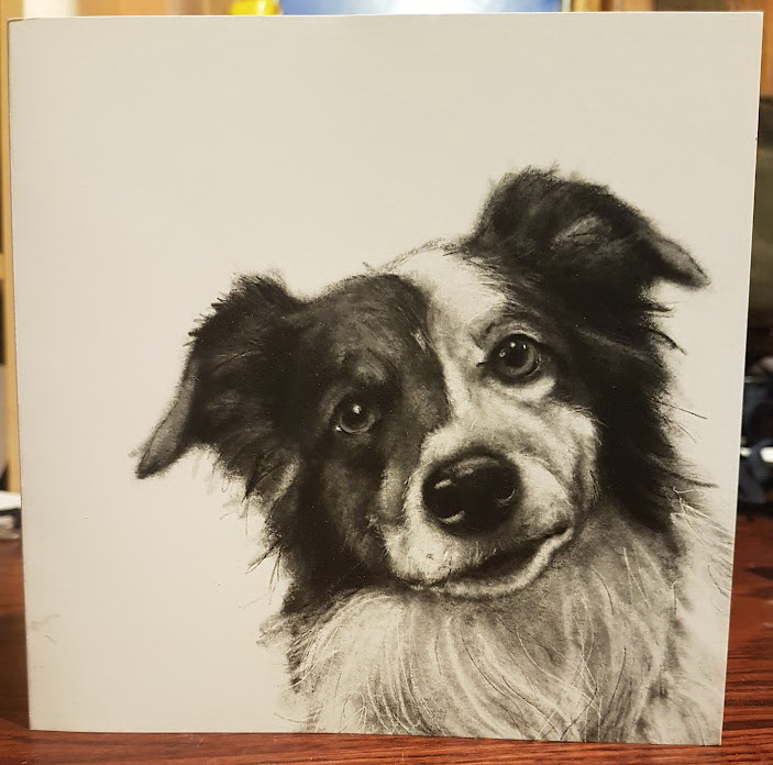 Misty border collie card by Bev Ibbotson from £2.95 incl p&p