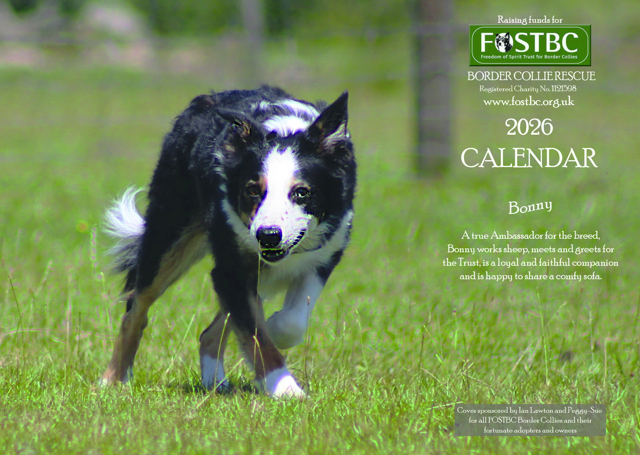 Calendar + 10 cards packsA&B p&p included (Copy)