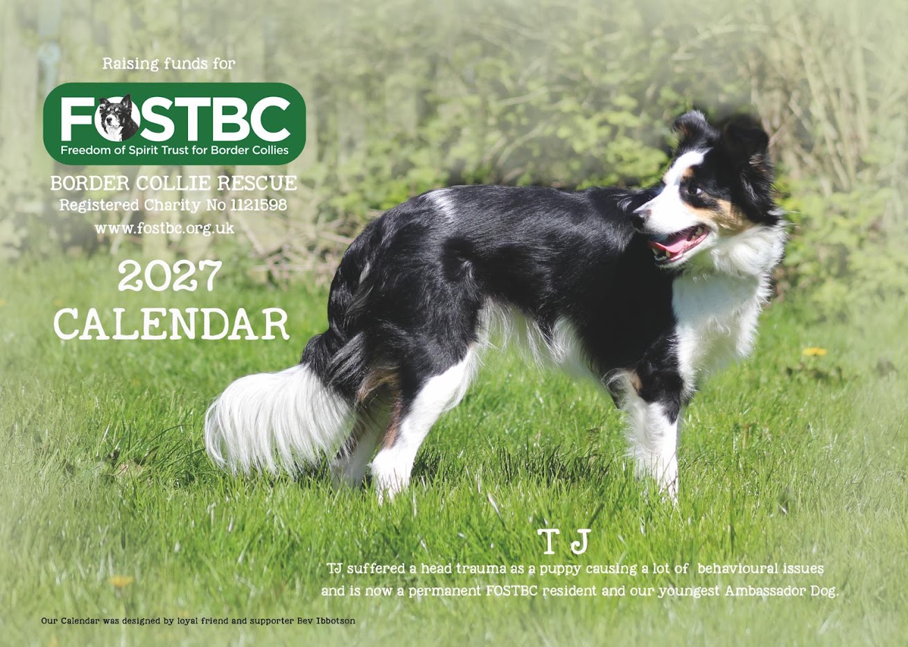 2027 Calendar x 2 £14.48 (Including p&p)